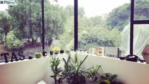A room with large windows, a white chair, and several potted plants. - Blue Hills Motel (Battery Point)