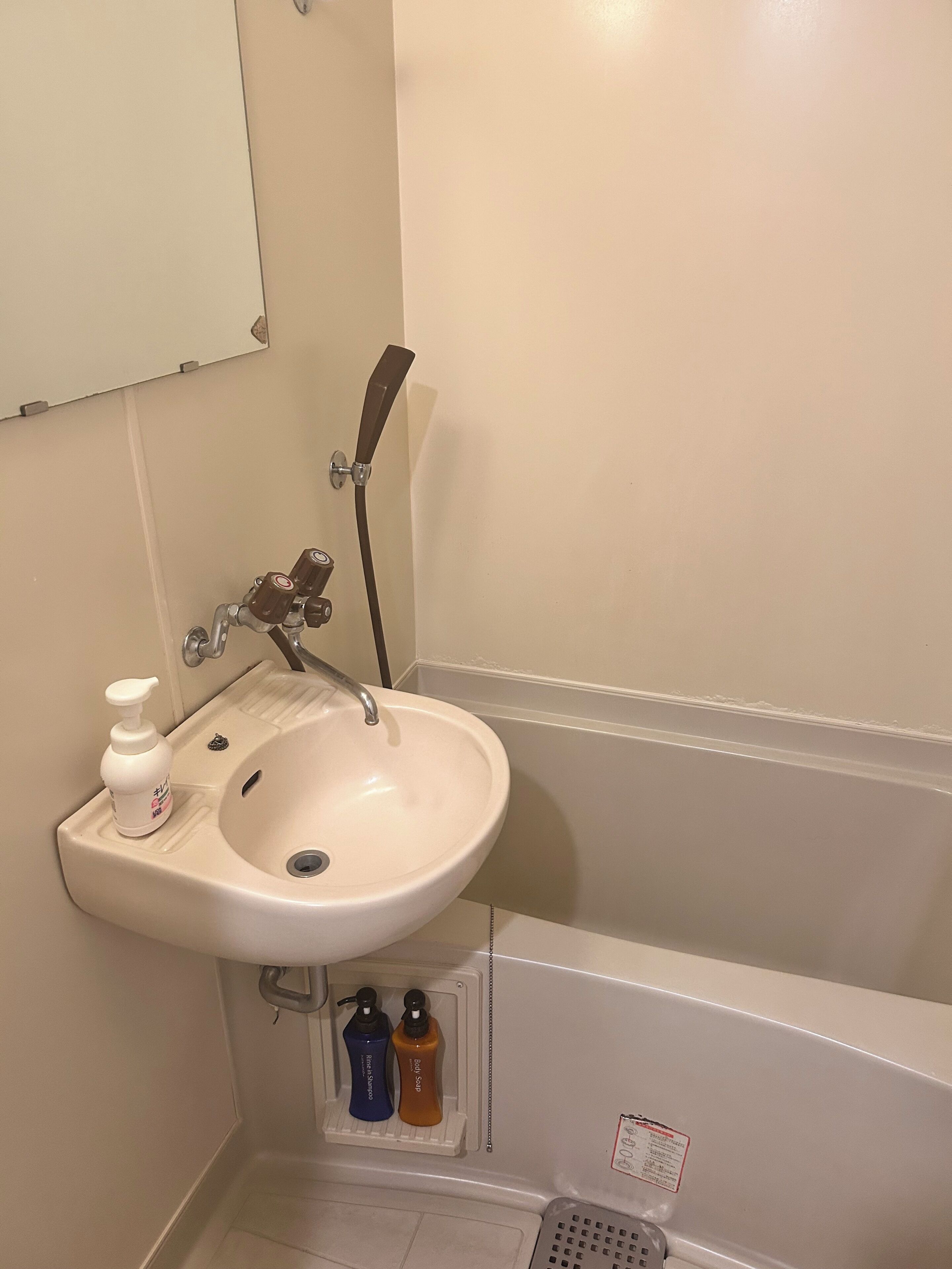 Un baño con lavamanos, espejo, ducha y repisa con dos botellas.