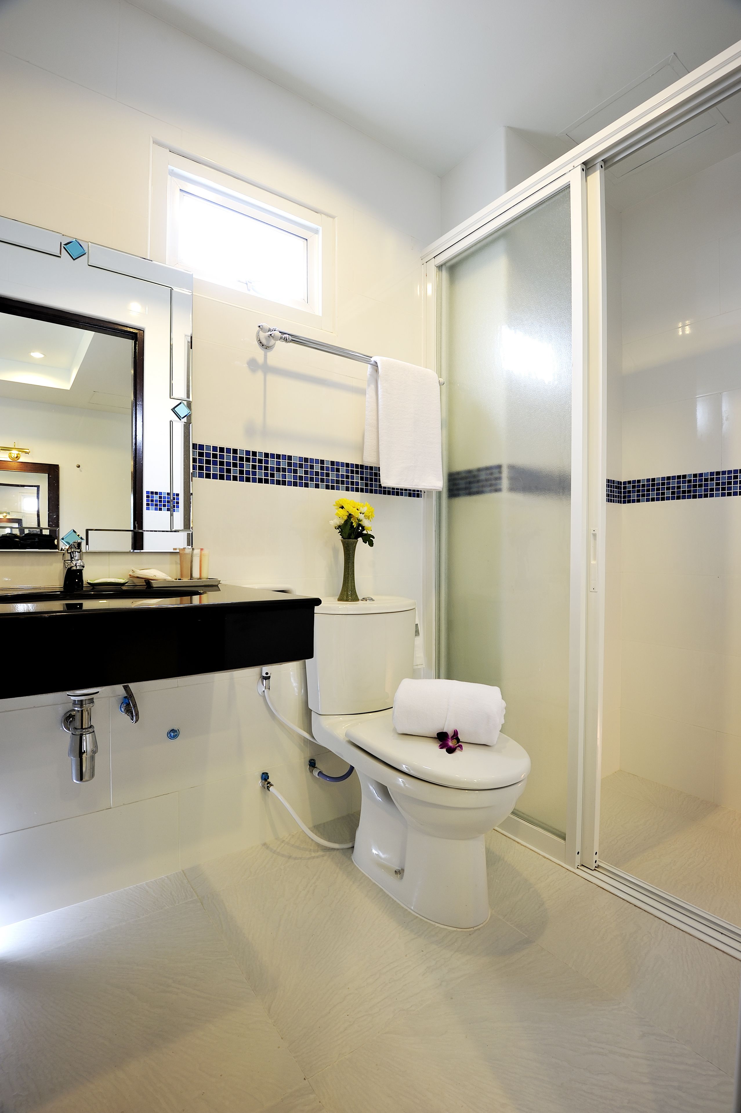 shower, free toiletries, hair dryer, bidet