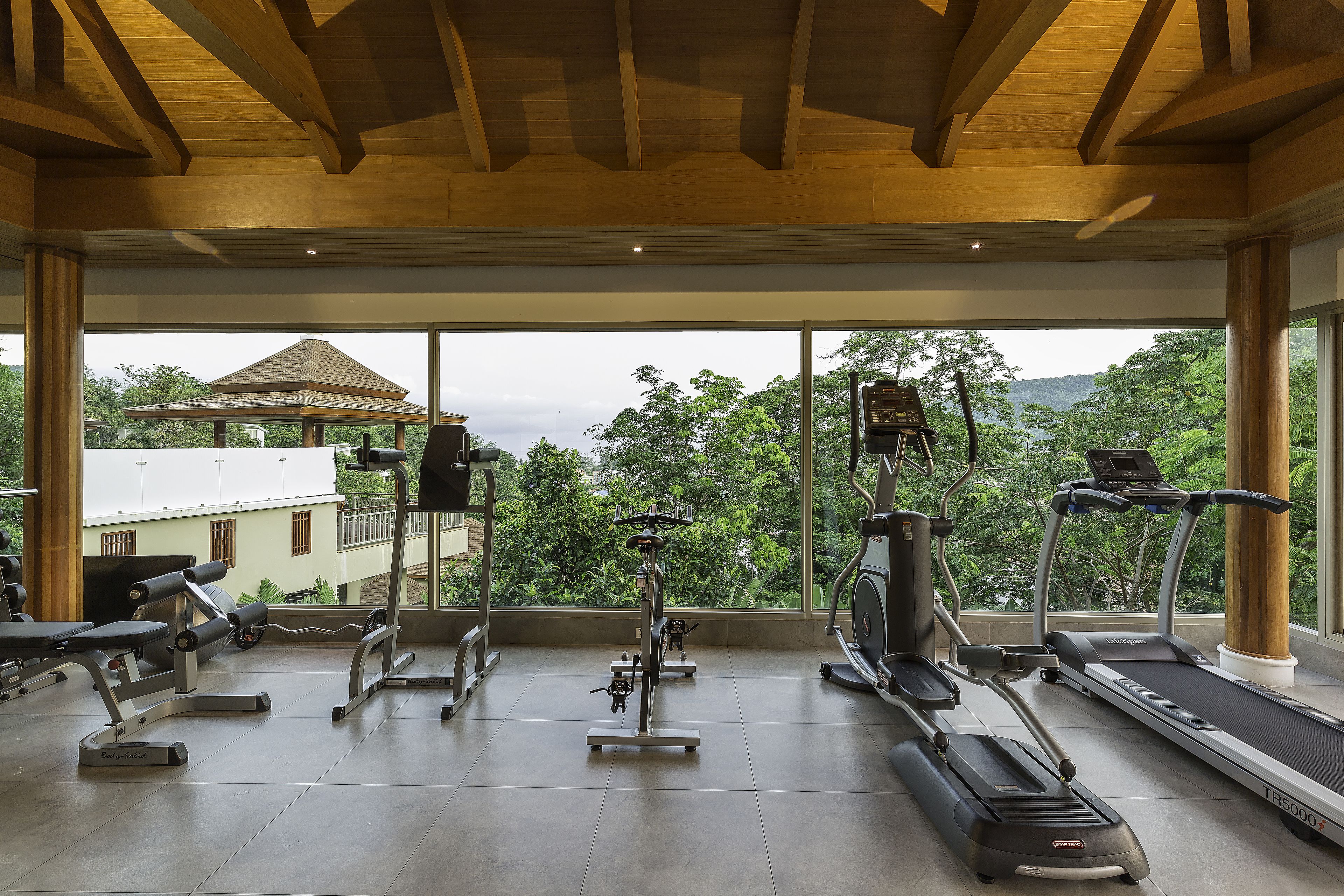 A gym with treadmills, stationary bikes, and weight machines, large windows with a view of greenery and a building.