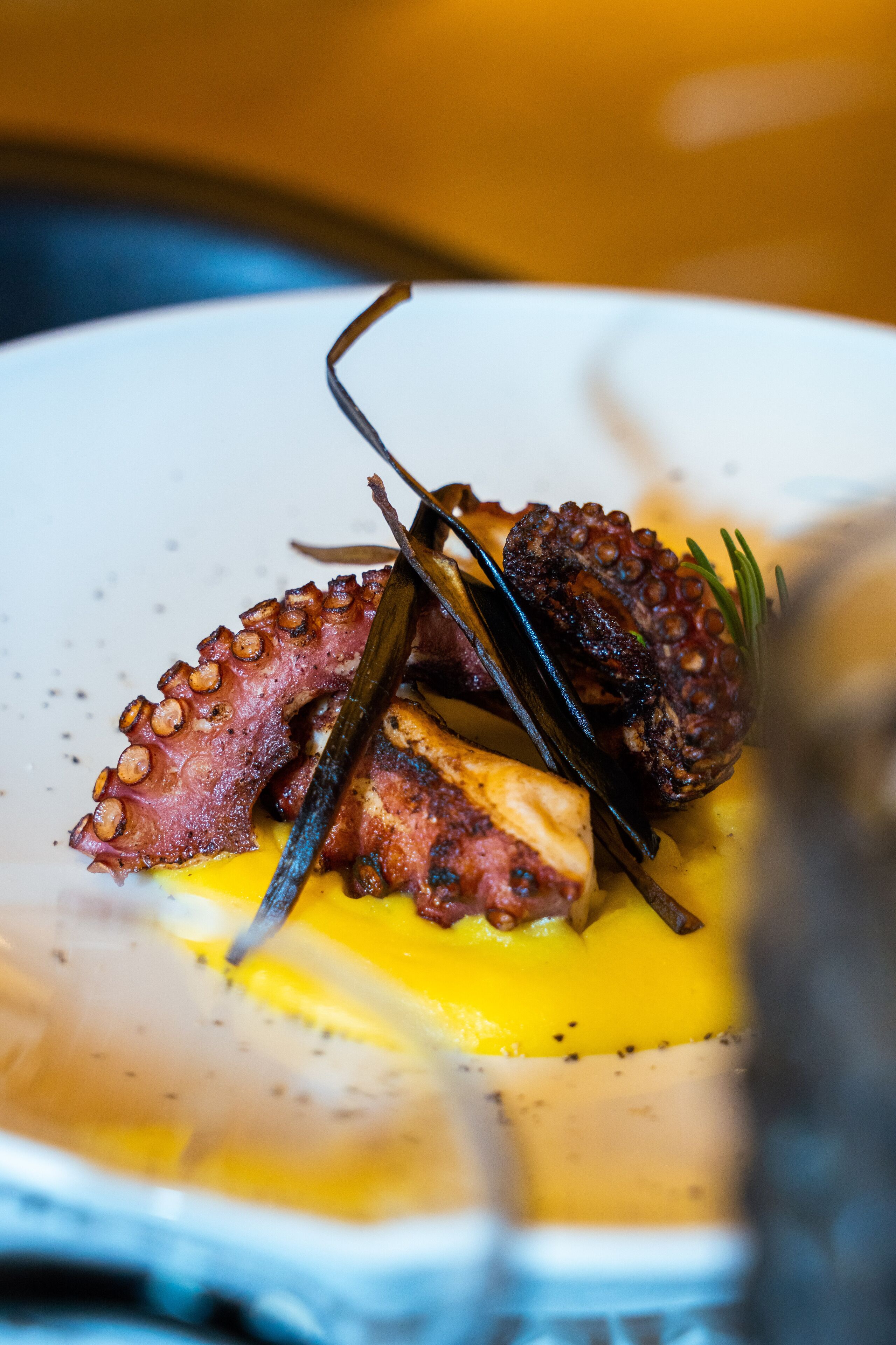 A plate of food with octopus tentacles, a piece of meat, and a garnish.