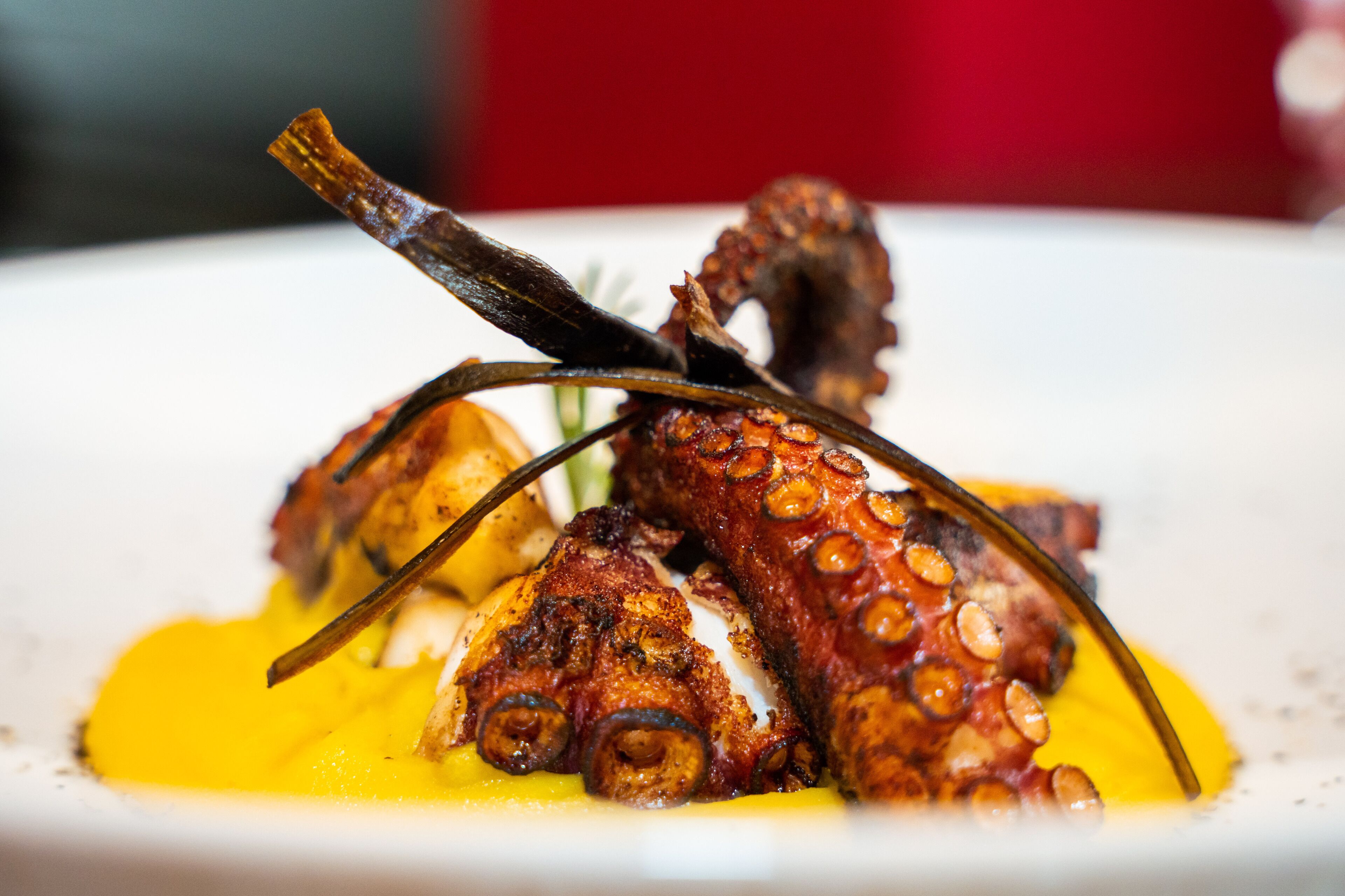 Un plato con pulpo y salsa amarilla.