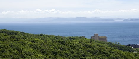 Vue sur la plage/l’océan