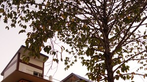 Exterior - Airport Phuket Garden Resort (Sa Khu)