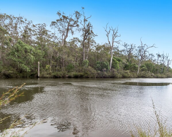A calm river with dense vegetation and trees on the banks.