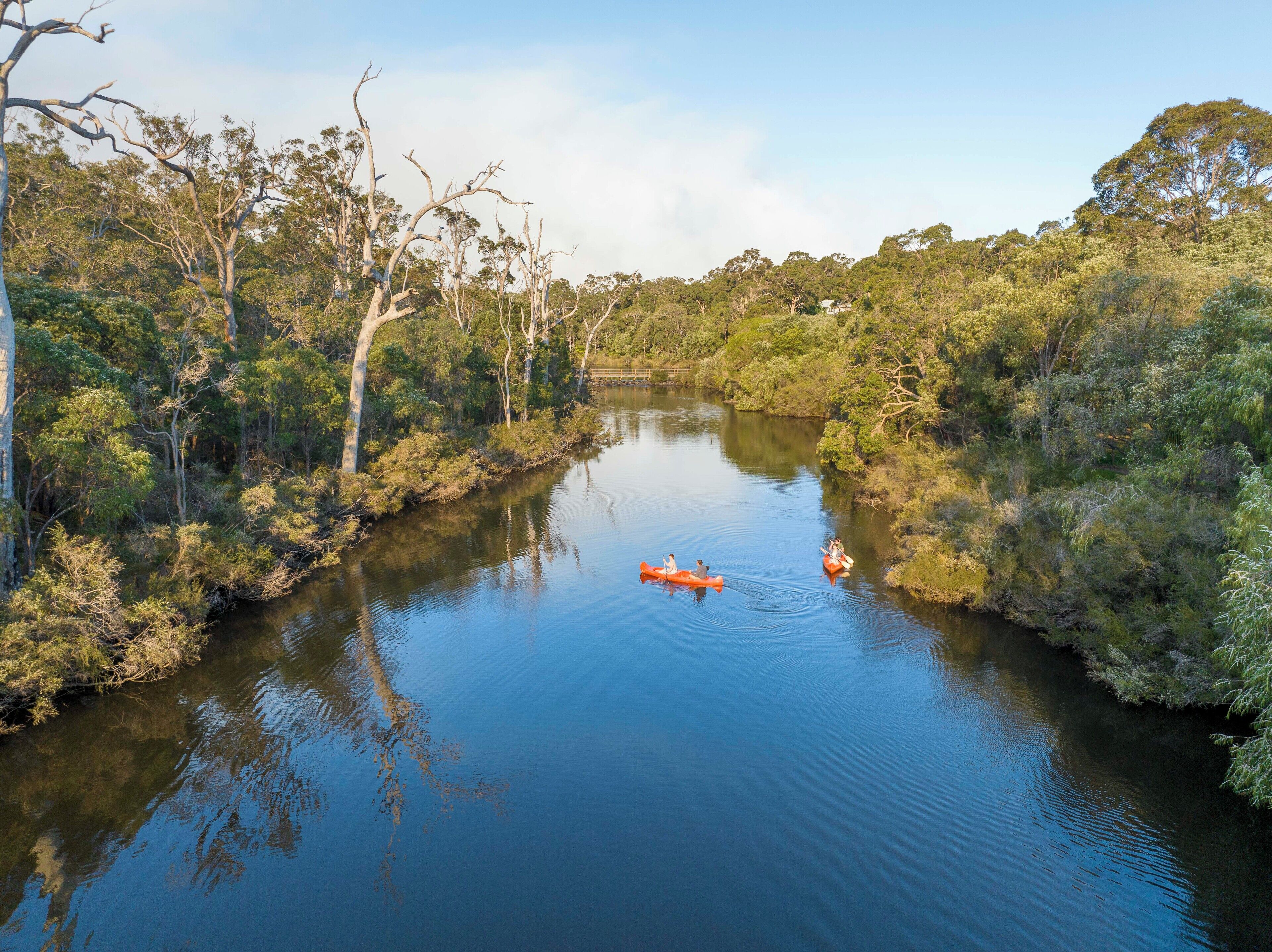 A river surrounded by dense forest.
