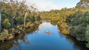 A river surrounded by dense forest.