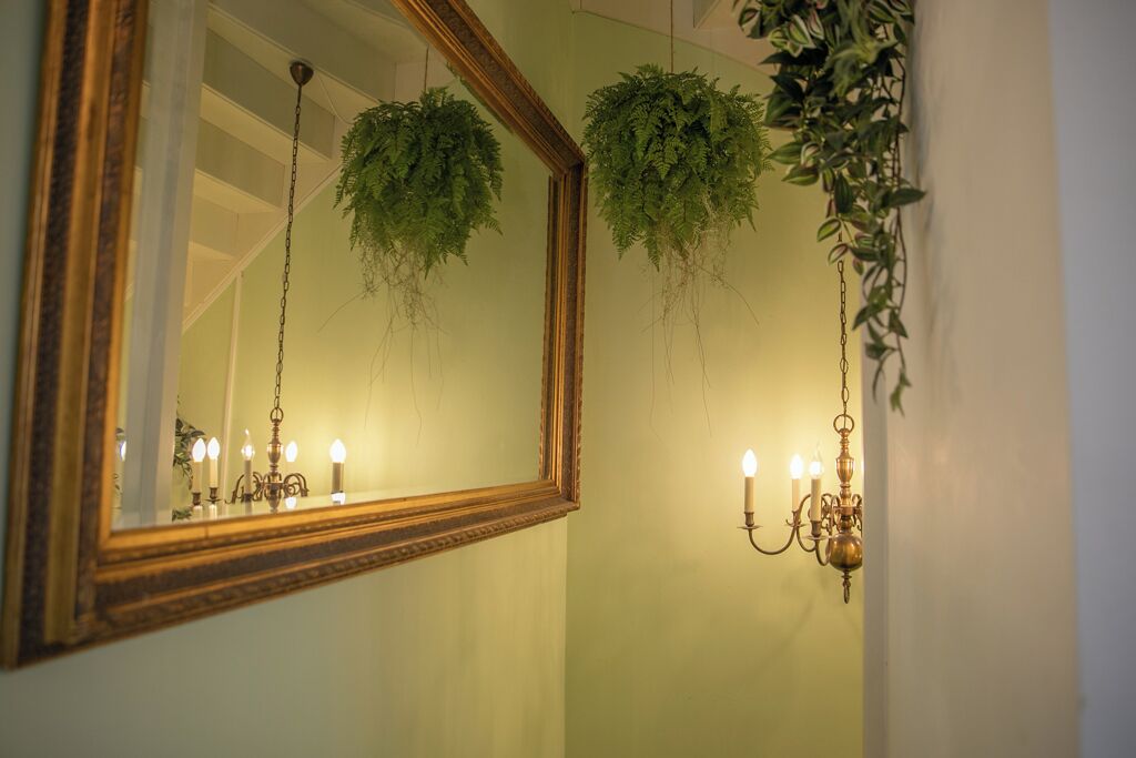 A mirror with a gold frame, a chandelier, and hanging plants.