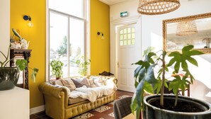 Une pièce avec un mur jaune, une porte blanche, un canapé et une plante en pot.
