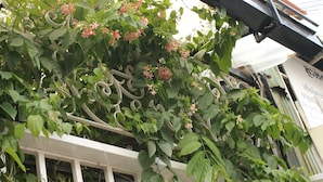 Veranda