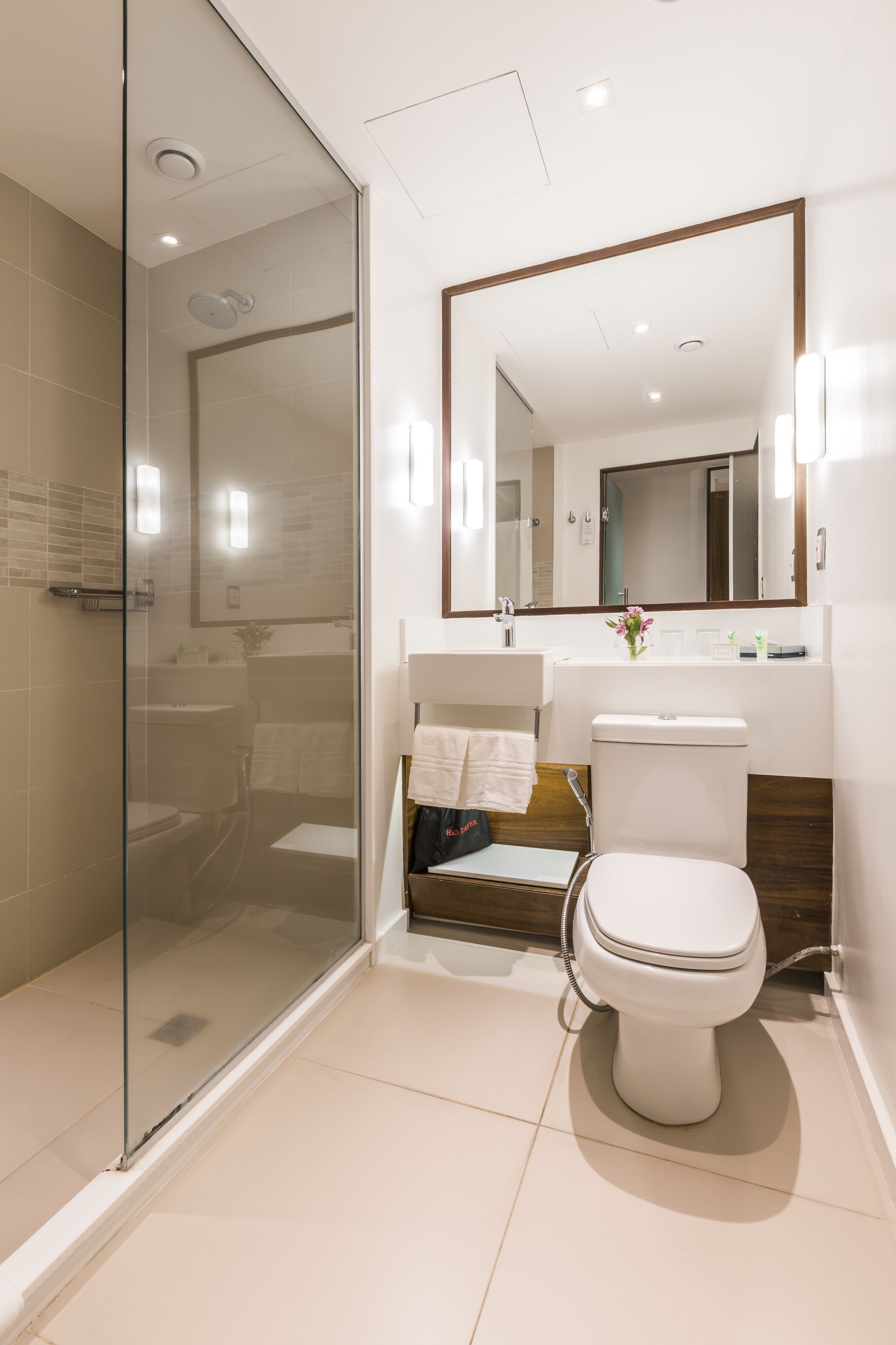 shower, free toiletries, hair dryer, towels