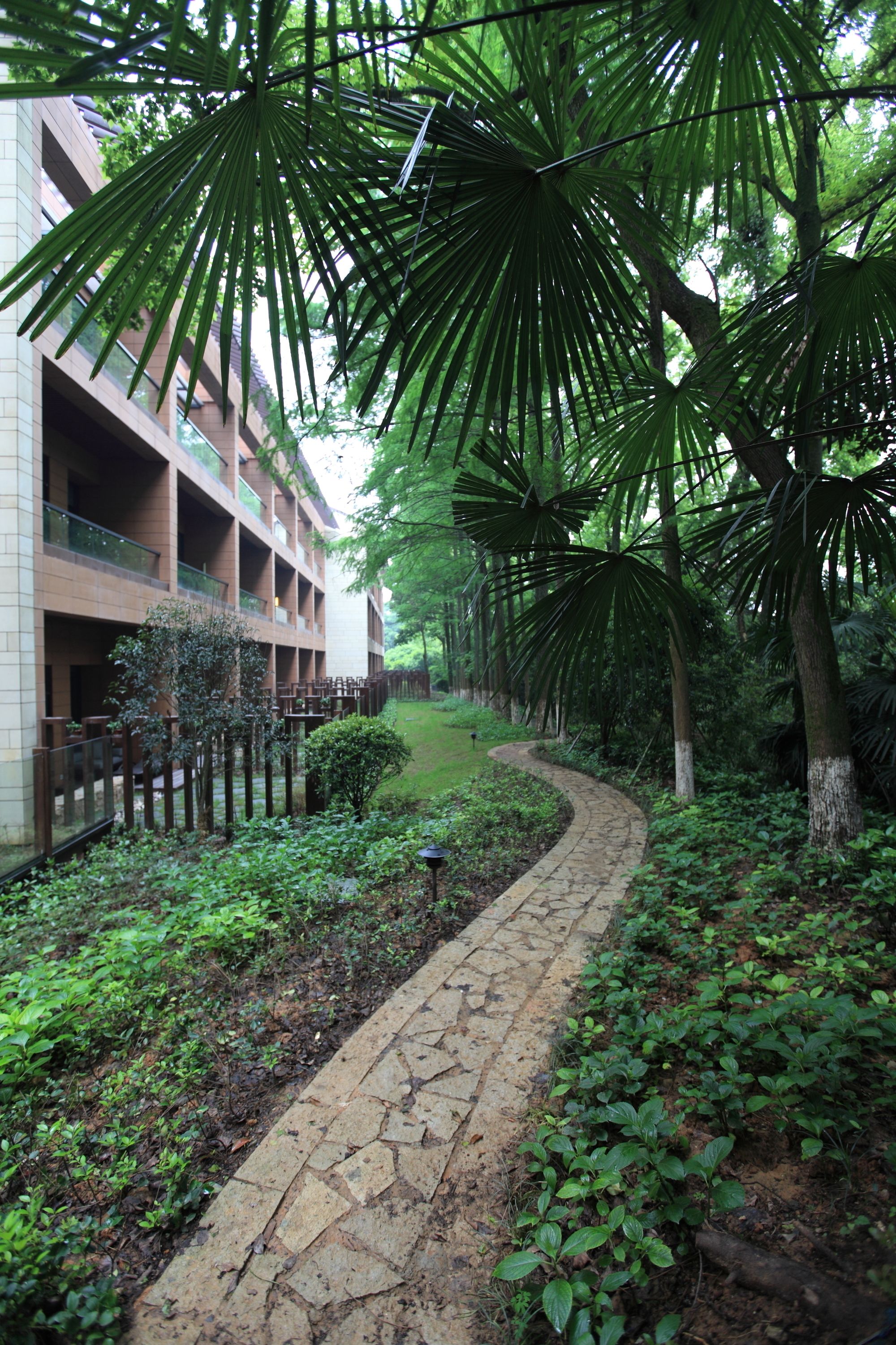A pathway lined with lush greenery and palm trees, leading to a multi-story building with balconies.