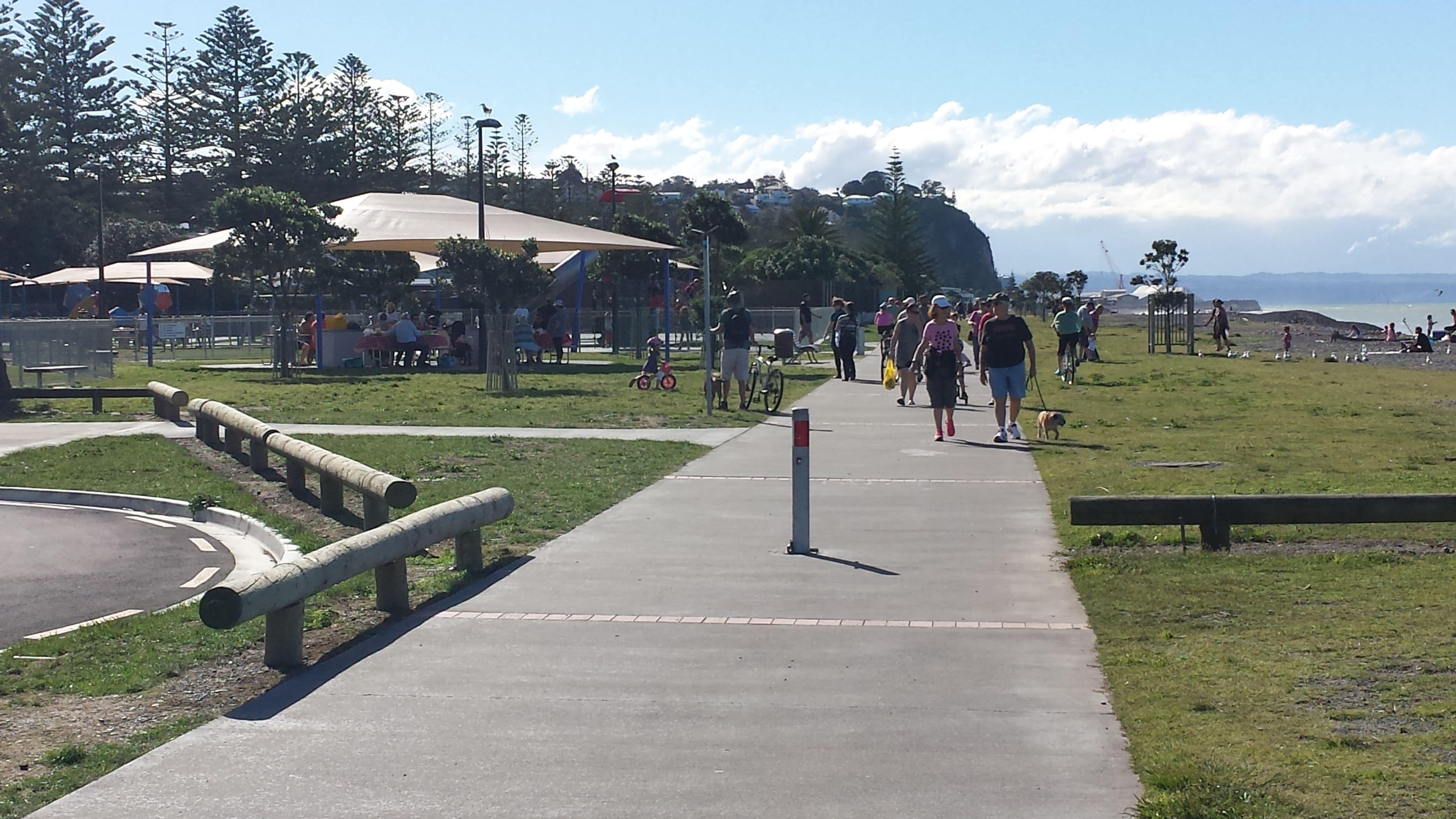 Un camino pavimentado en un parque con bancos y zonas de picnic.