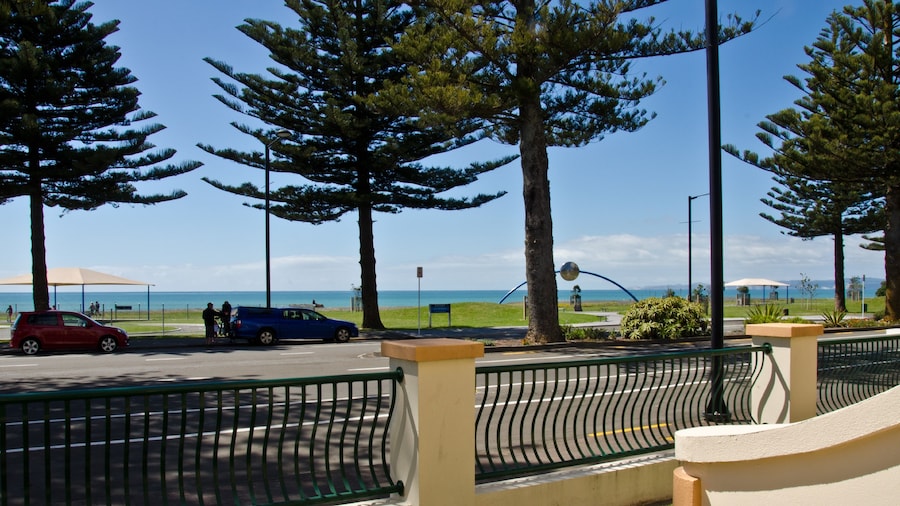Beach Front Motel Napier
