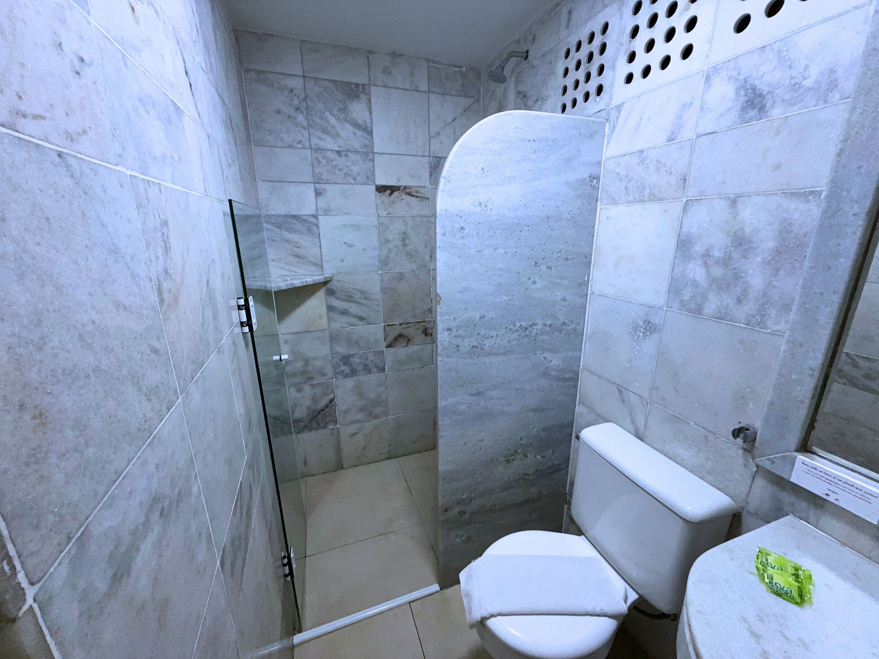 A bathroom with a glass shower enclosure, a toilet, and a small shelf.