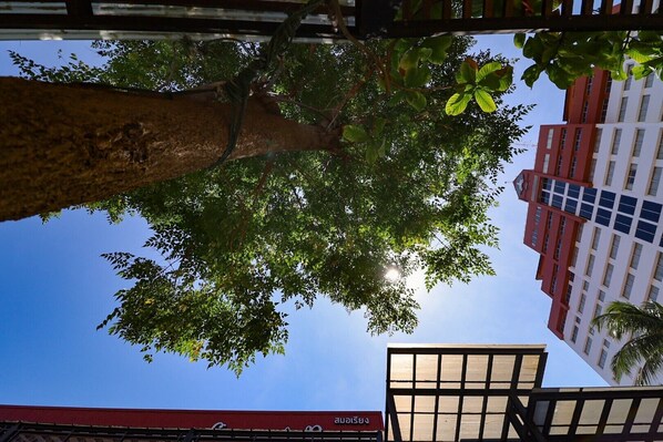 A tree with a view of a building in the background. - HUA HIN GRAND HOTEL AND PLAZA (Hua Hin)