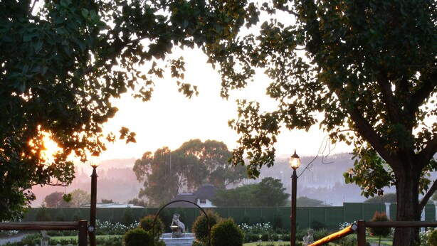 A wooden deck with a statue, a lamp post, and a view of a garden and trees. - Valverde Country Hotel (Muldersdrift)