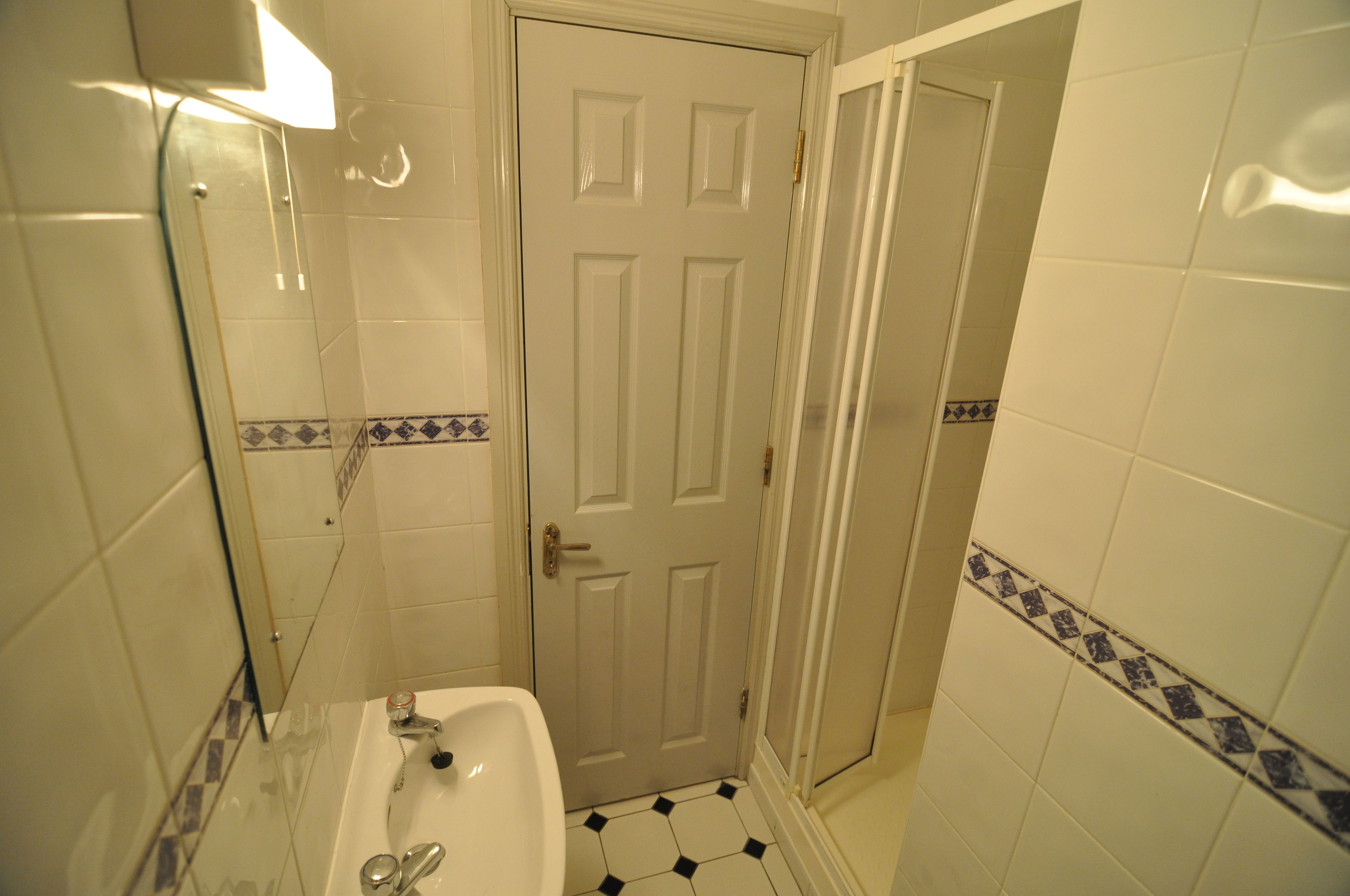 Combined shower/tub, hair dryer