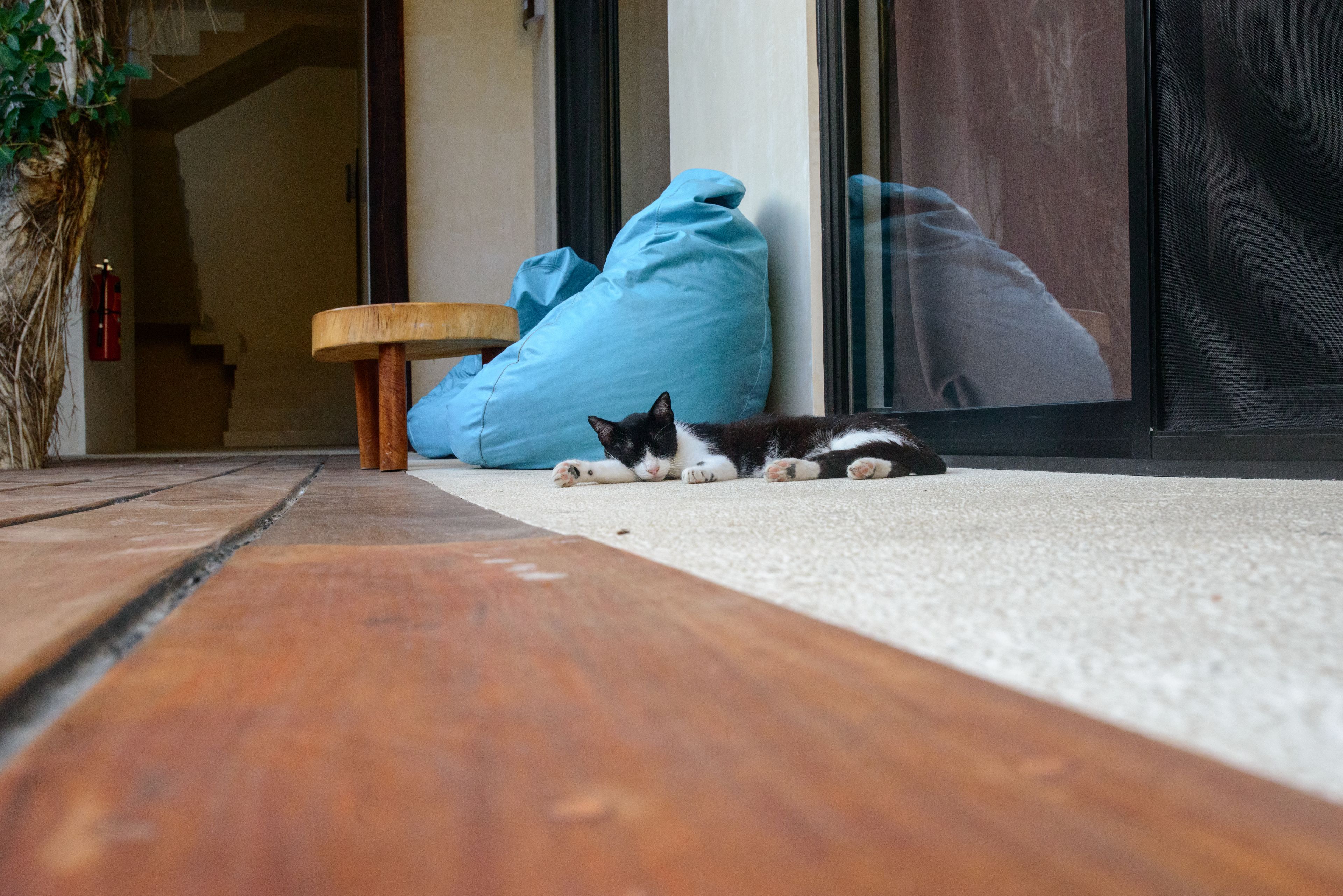 Foto - Hotel Uolis Nah