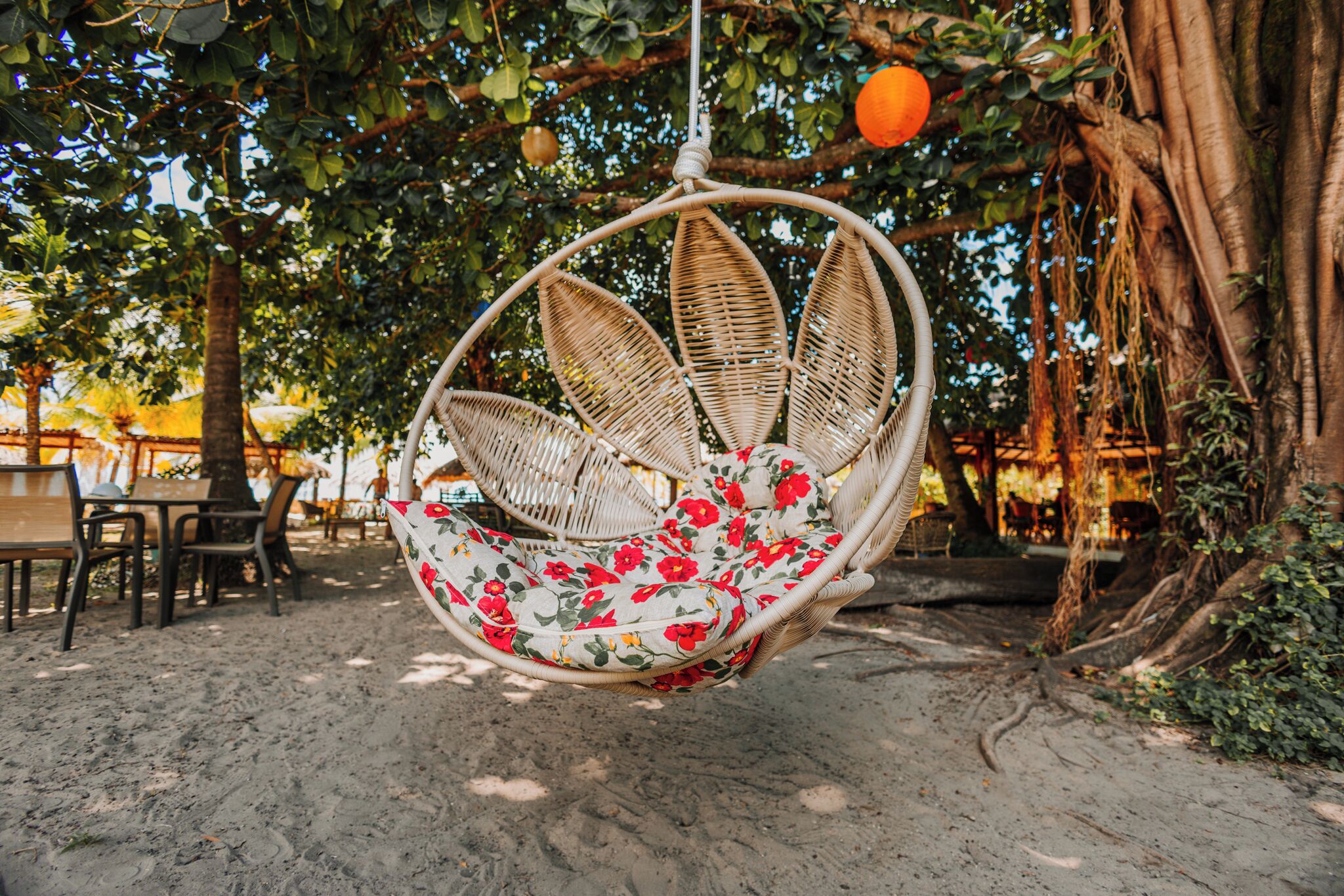 Una silla colgante de mimbre con un cojín estampado, frente a un árbol con raíces y una naranja colgando de una rama.