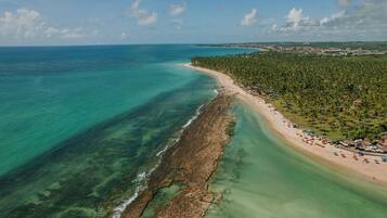 An aerial view of a beach with clear turquoise waters, a sandy shore, and a dense line of palm trees.
