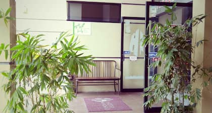 Hotel Madrid Tuxtla