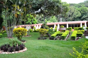 Terrain de l’hébergement 