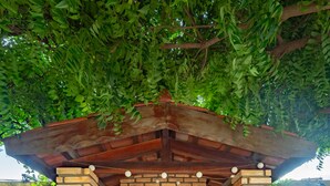 A brick structure with a wooden roof and a window, surrounded by potted plants.