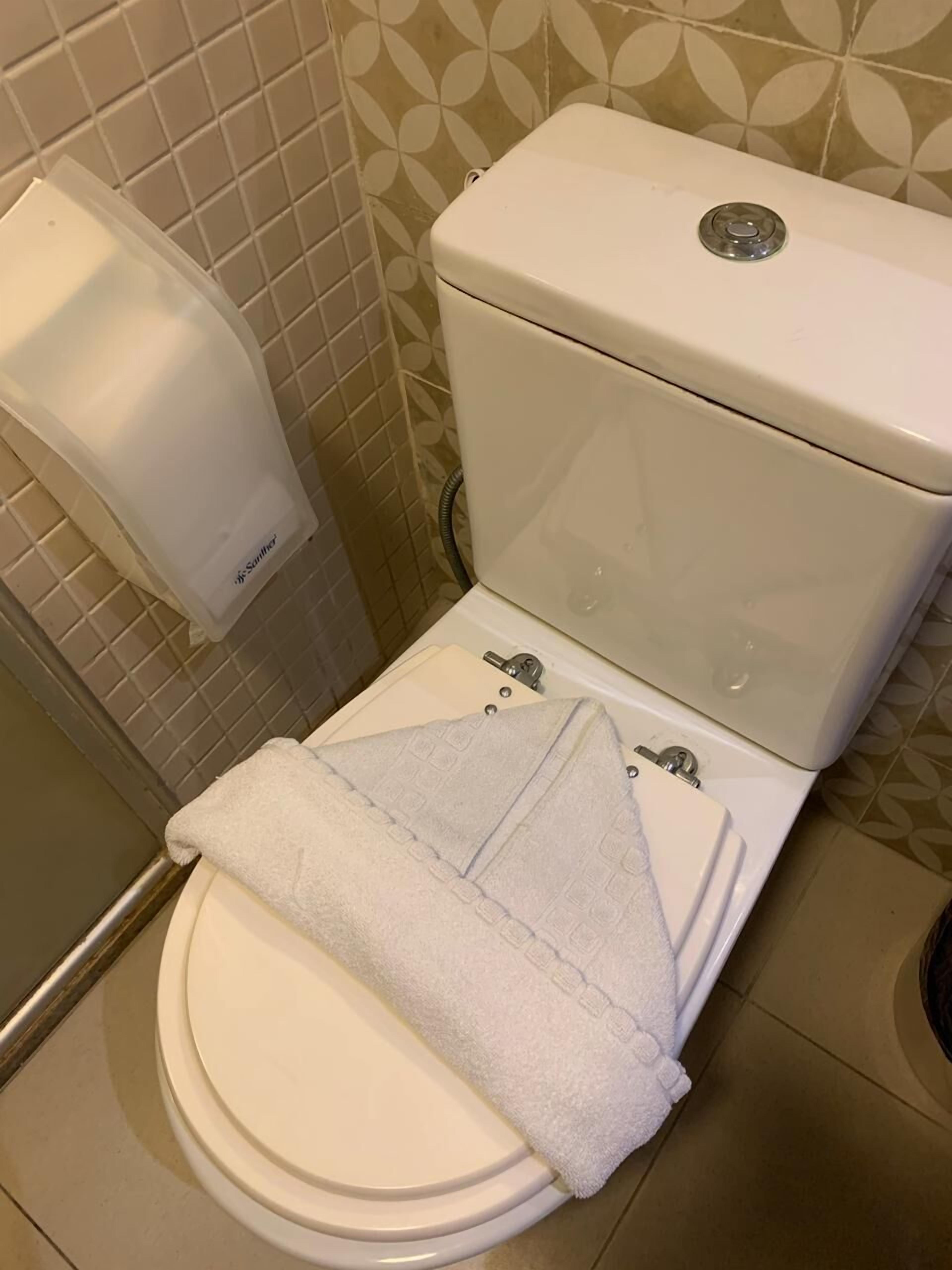 combined shower/bathtub, free toiletries, hair dryer, towels