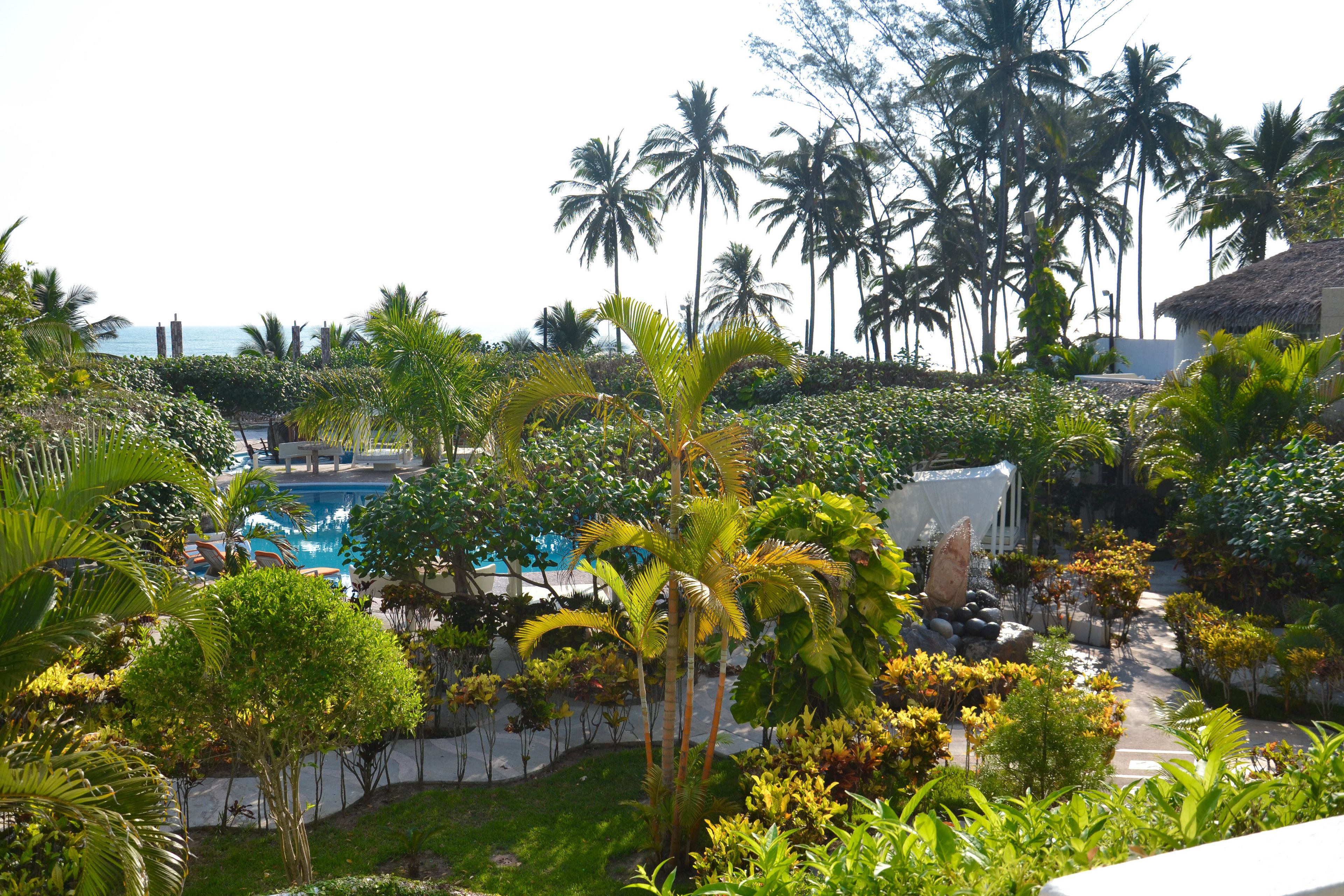 A pool surrounded by lush greenery and palm trees, with a clear view of the ocean in the background.