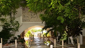 A stone pathway leading through an arched entrance with greenery overhead and a mosaic wall with text. - Bon Jesús Hotel (Tecolutla)