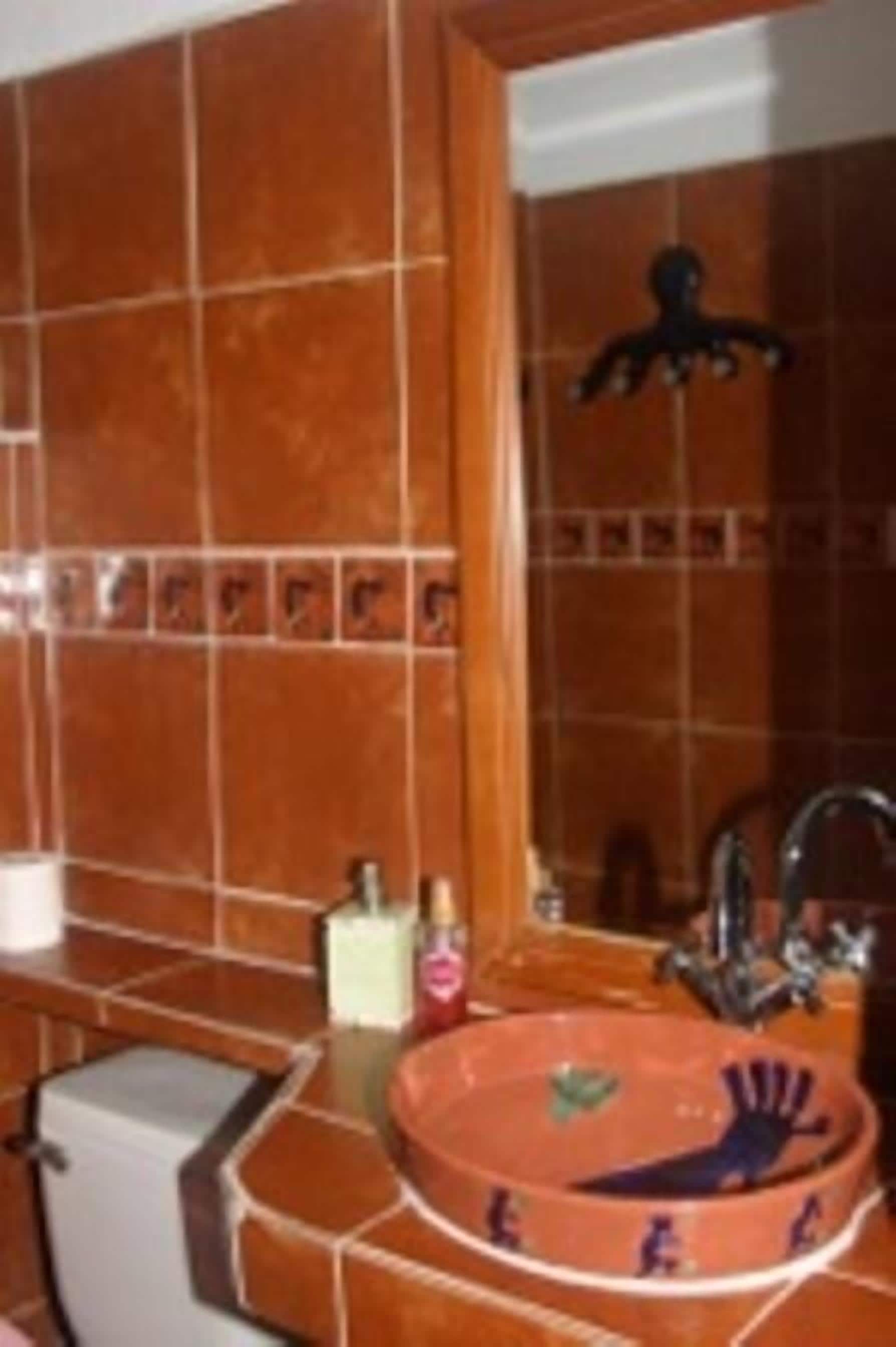 standard room | bathroom | shower, hair dryer, towels