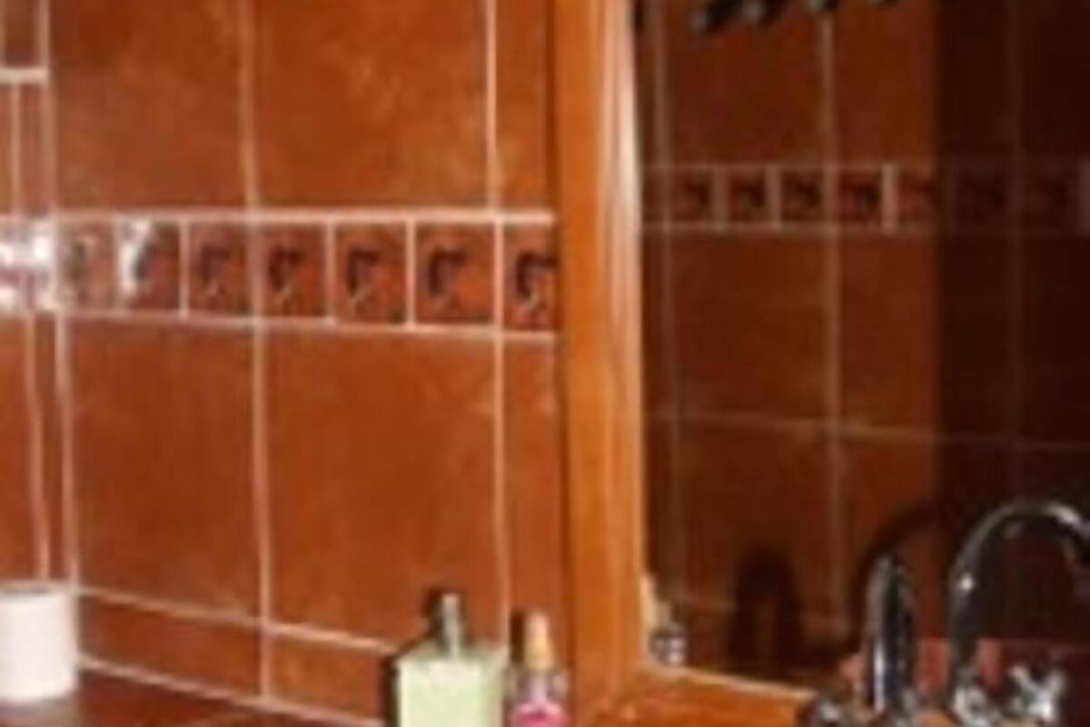 standard room | bathroom | shower, hair dryer, towels