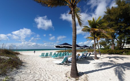 A beach with white sand, palm trees, and beach chairs under umbrellas.