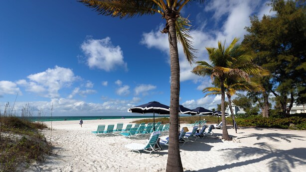 A beach with white sand, palm trees, and beach chairs under umbrellas.