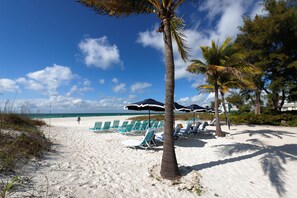 A beach with white sand, palm trees, and beach chairs under umbrellas.