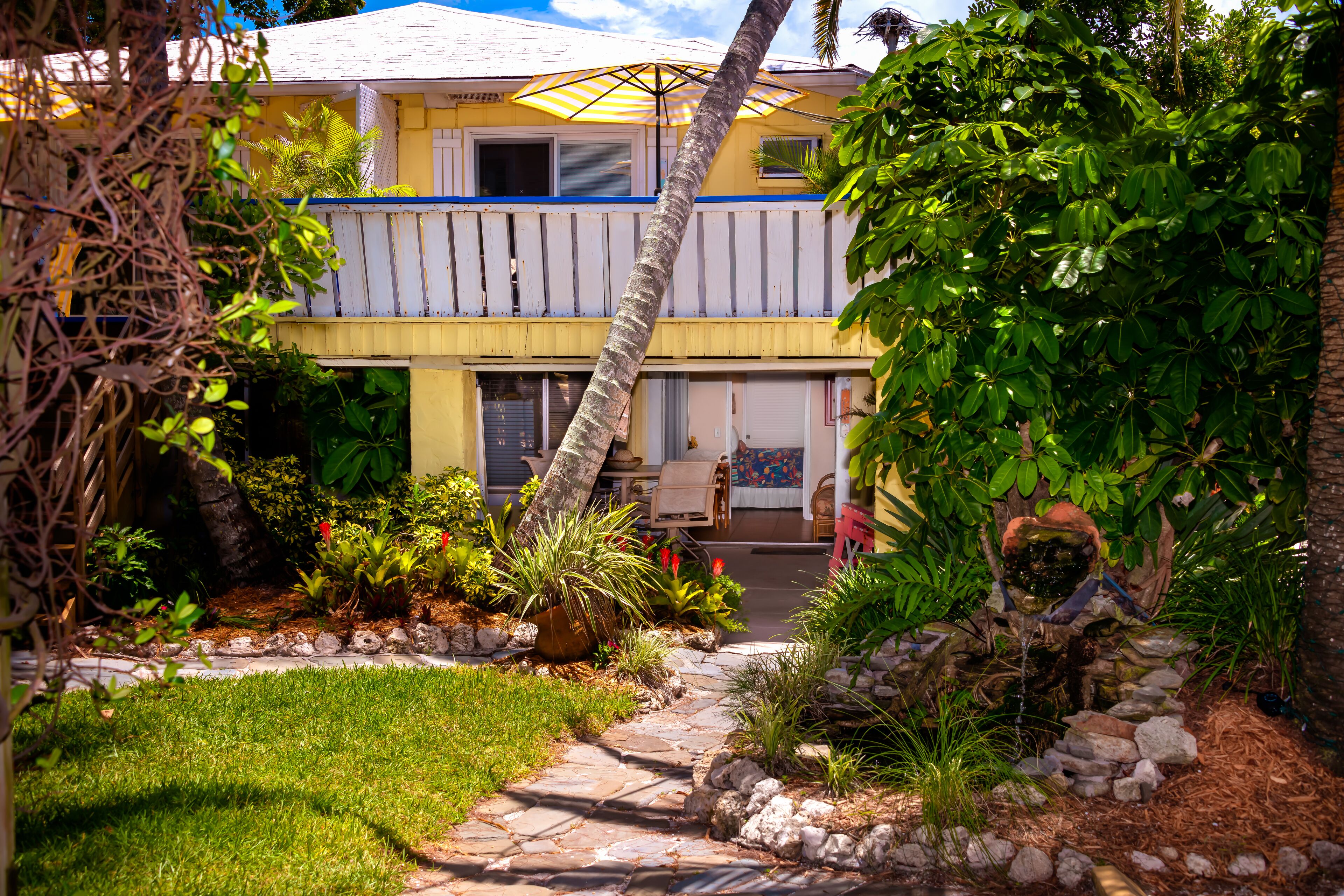 coral reef suite | garden view