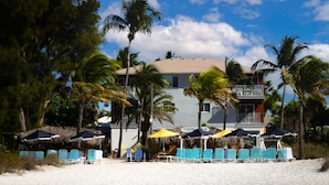 A beachfront hotel with a pool area, palm trees, and beach chairs.