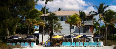 A beachfront hotel with a pool area, palm trees, and beach chairs.
