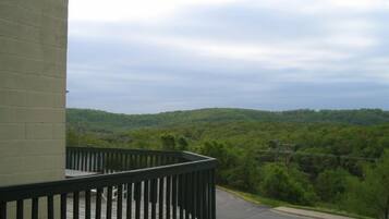 Vista desde la propiedad