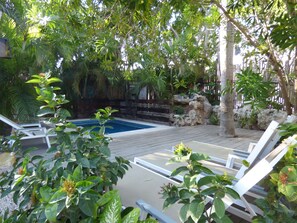 Pool - Hotel & Hostel El Punto (Tulum)