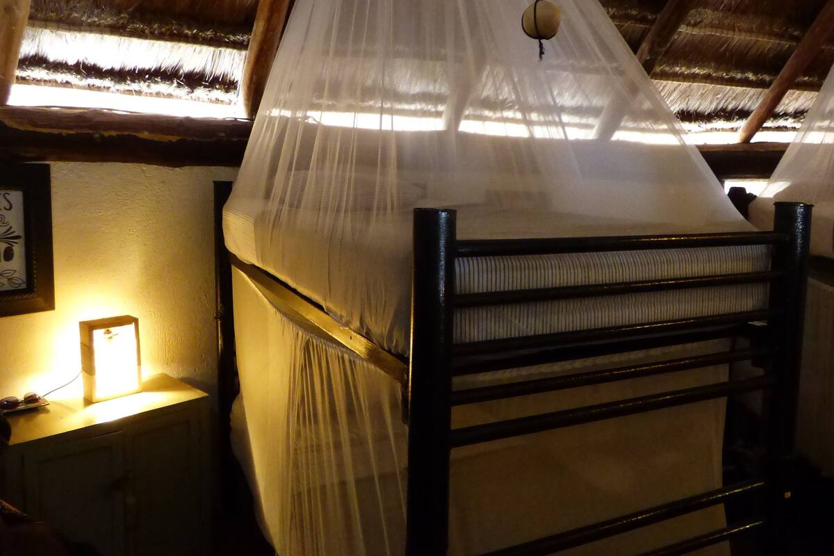 Dormitorio compartido, dormitorio mixto | Caja fuerte, wifi gratis, ropa de cama
