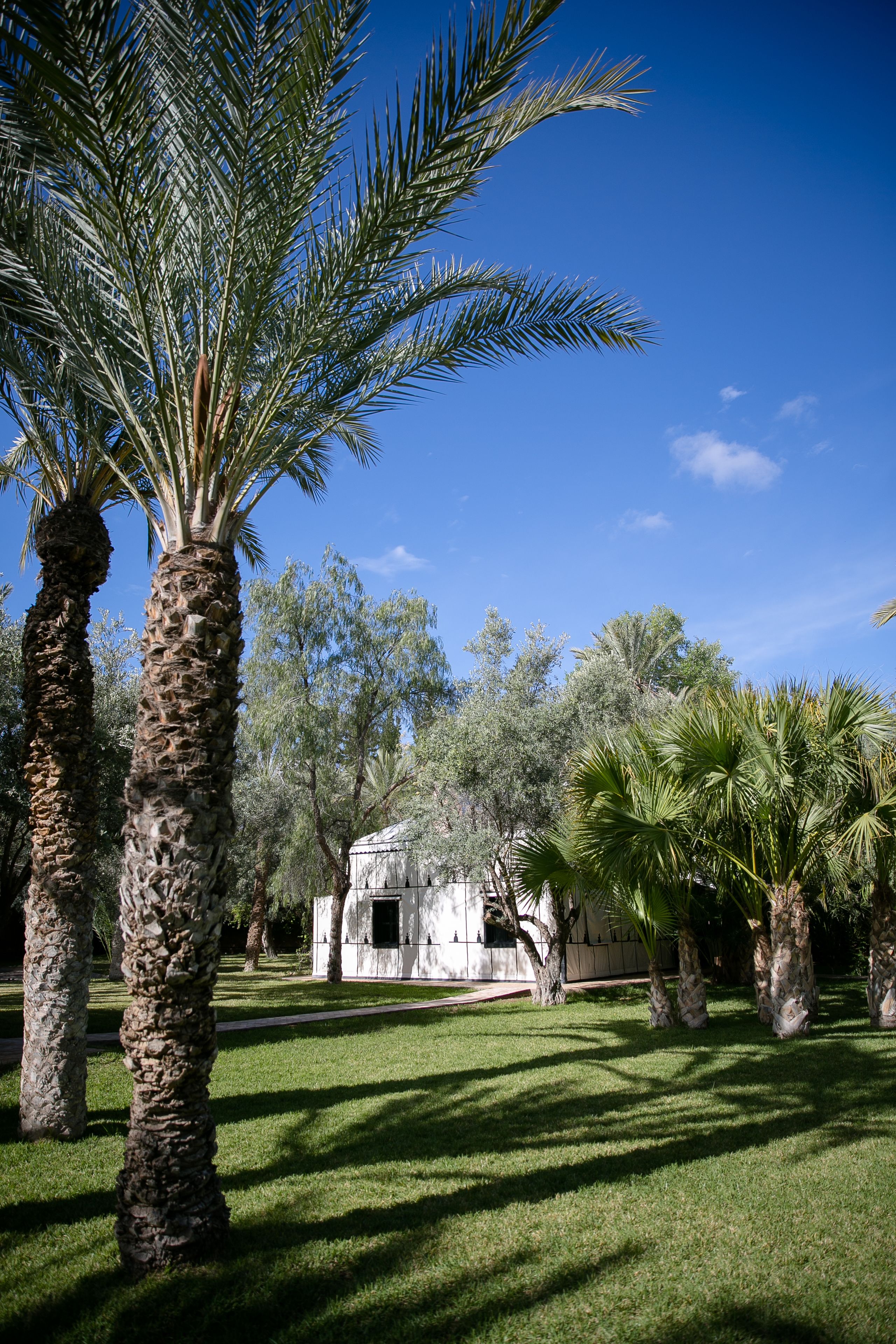 A building with a stone facade and a palm tree in the foreground.