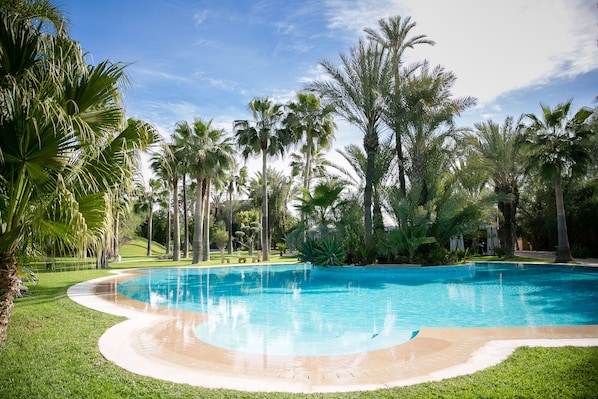Una piscina rodeada de palmeras y césped.