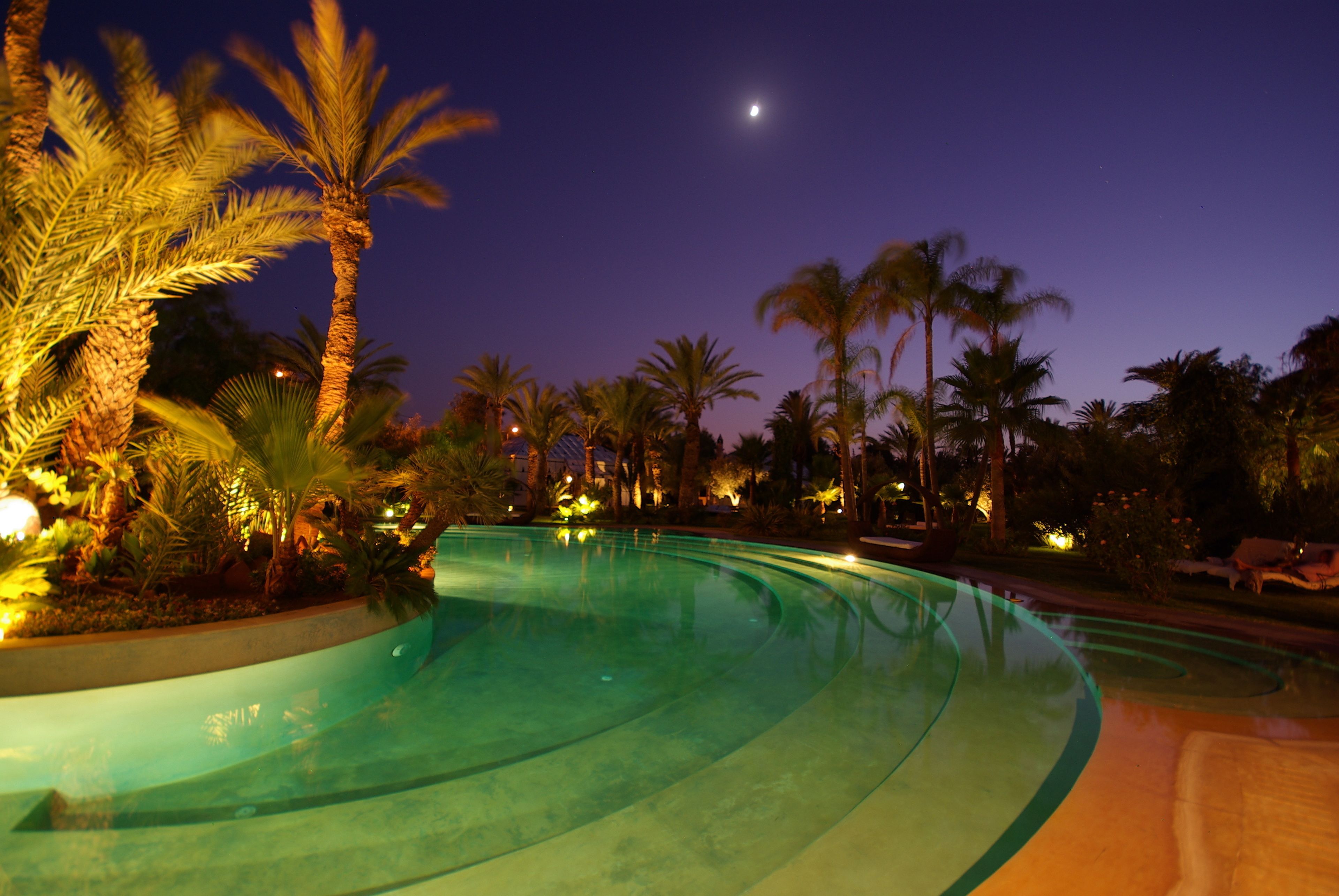 A nighttime swimming pool with palm trees and a crescent moon in the sky.