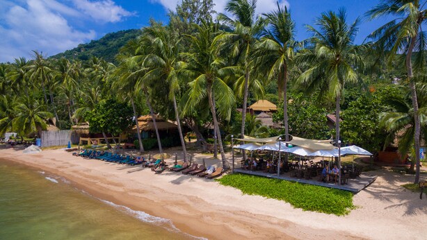 A beach with rows of sun loungers and umbrellas, palm trees, and a thatched-roof building. - Palm Leaf Resort (Koh Tao)