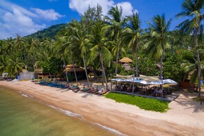 A beach with rows of sun loungers and umbrellas, palm trees, and a thatched-roof building. - Palm Leaf Resort (Koh Tao)
