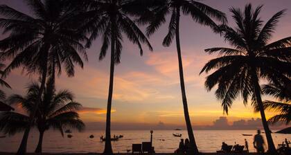 Palm Leaf Resort