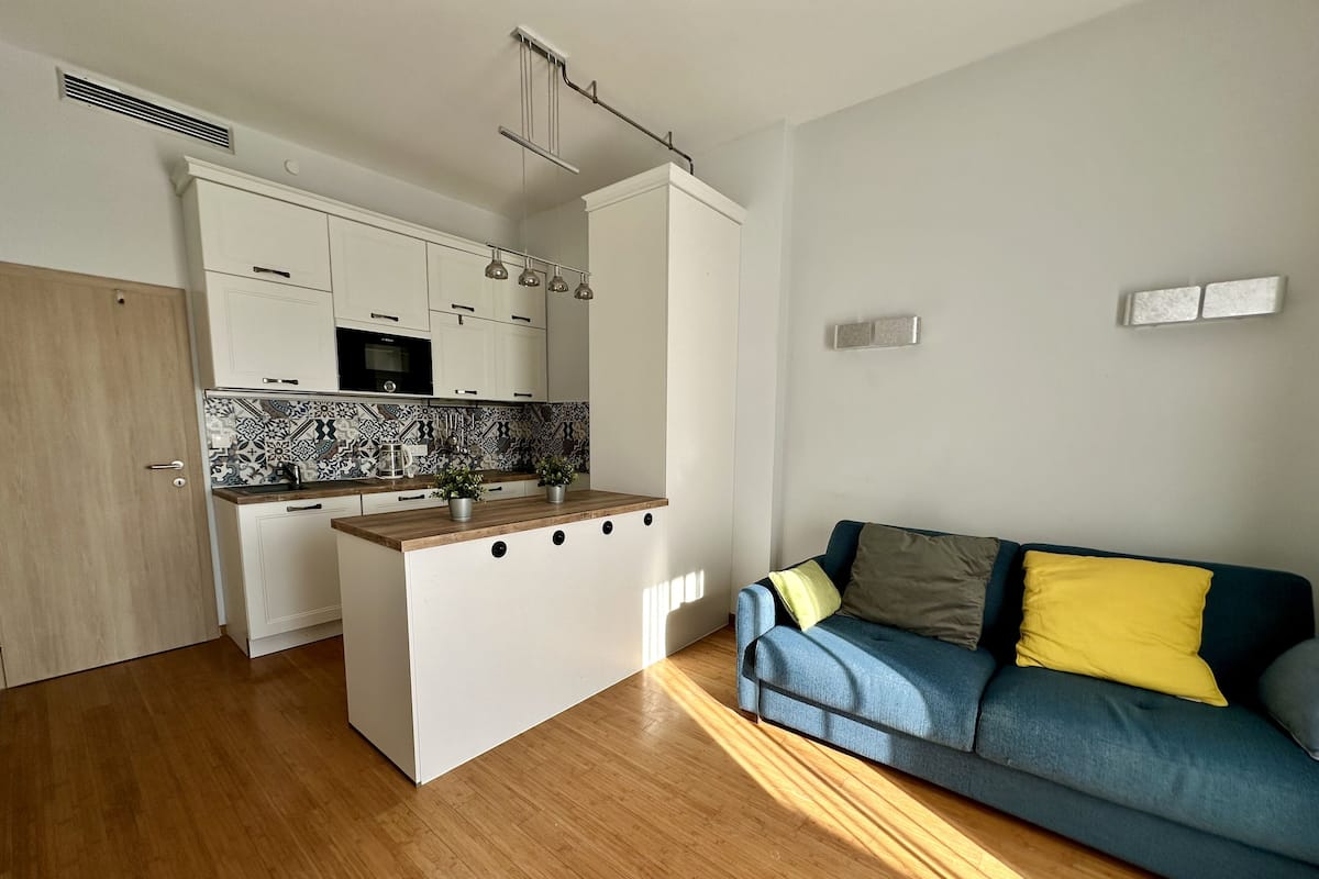 deluxe apartment, 1 queen bed with sofa bed | 1 bedroom, in-room safe, desk, laptop workspace