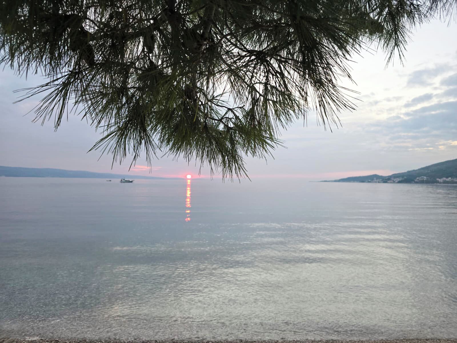 A calm body of water with a sunset in the distance, surrounded by trees.